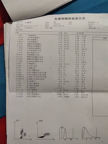 journal_insert_pic_1683729712