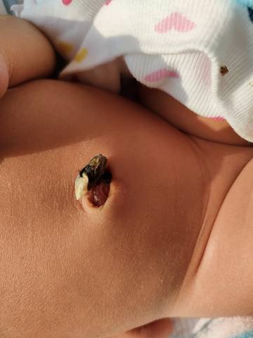 journal_insert_pic_1674721137