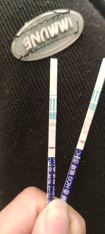 journal_insert_pic_1674629939