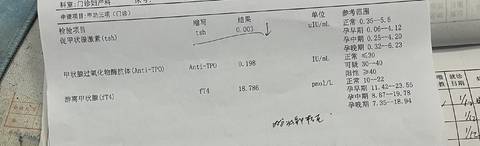 journal_insert_pic_1675995707