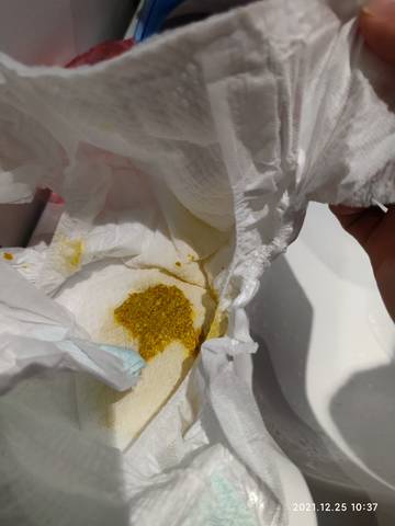 journal_insert_pic_1687528822