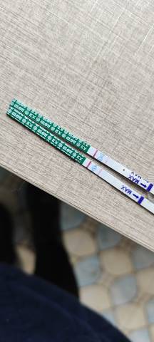 journal_insert_pic_1687849606