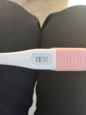 journal_insert_pic_1719799834