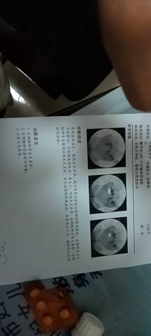 journal_insert_pic_1682302579