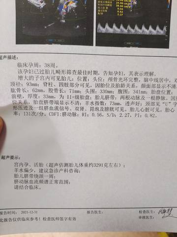 journal_insert_pic_1689915153