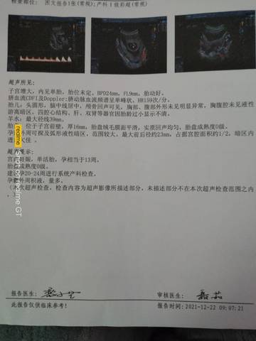journal_insert_pic_1687936330