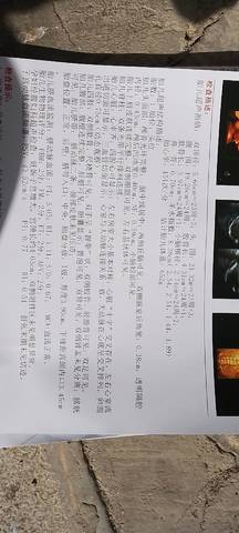 journal_insert_pic_1719507425