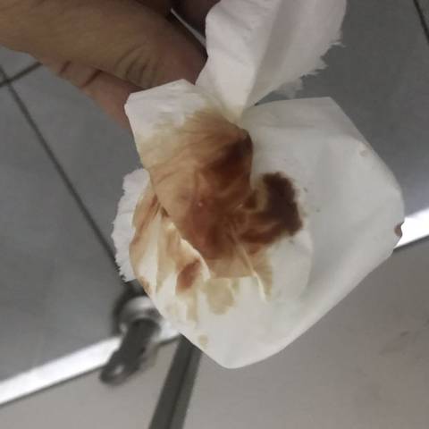 journal_insert_pic_1675944042