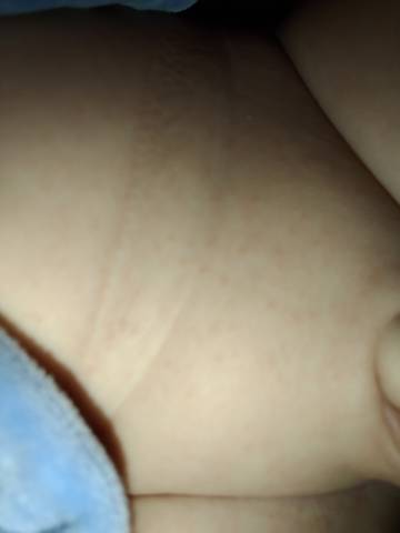 journal_insert_pic_1683656111