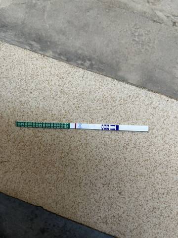 journal_insert_pic_1677224483