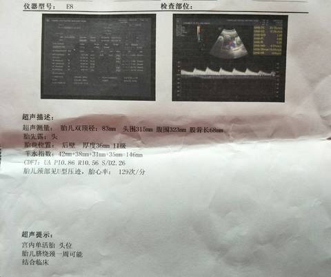 journal_insert_pic_1681592914