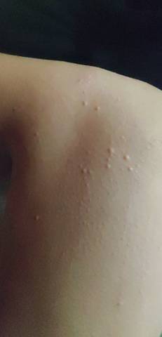 journal_insert_pic_1678002048