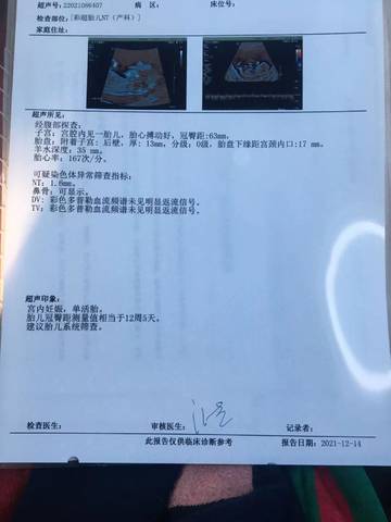 journal_insert_pic_1679979856
