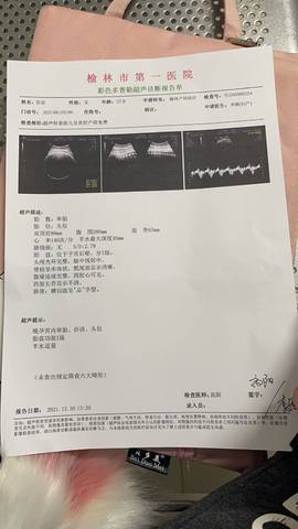 journal_insert_pic_1689073396