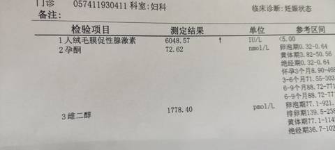 journal_insert_pic_1682898419