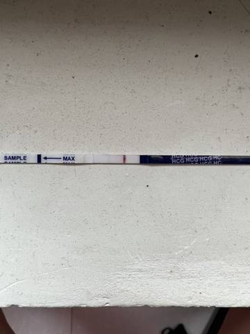 journal_insert_pic_1677524546