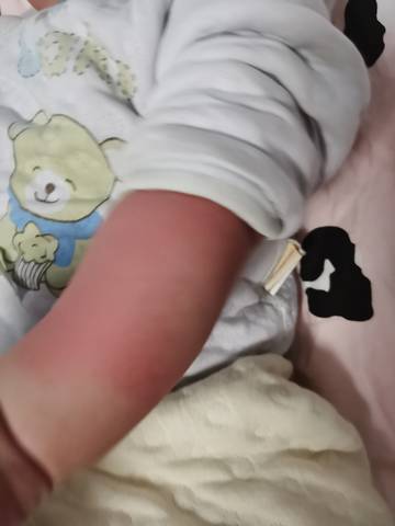 journal_insert_pic_1674571296