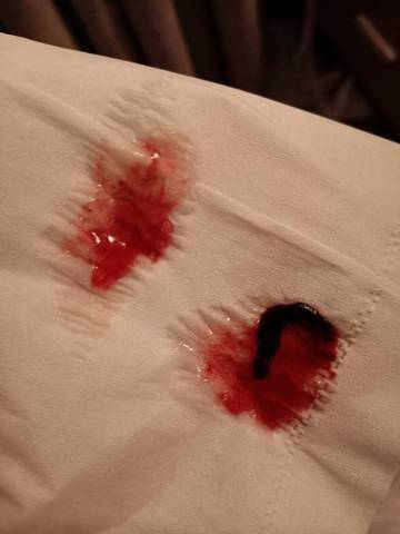 journal_insert_pic_1682664026