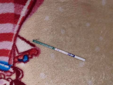 journal_insert_pic_1688387679