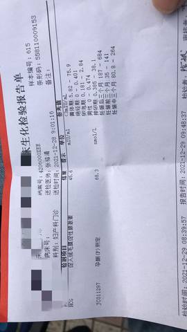 journal_insert_pic_1689051227