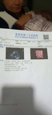 journal_insert_pic_1687952843
