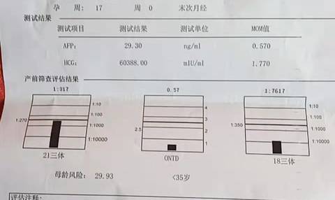 journal_insert_pic_1676106222