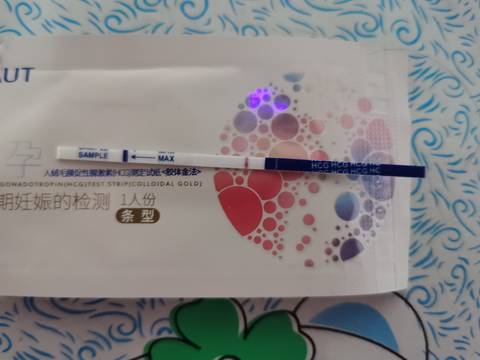 journal_insert_pic_1674268050