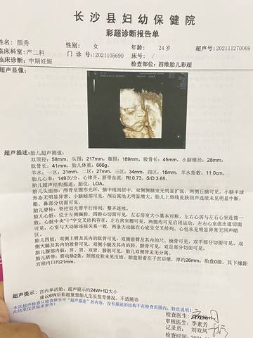 journal_insert_pic_1688327799