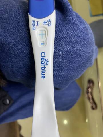 journal_insert_pic_1678208000