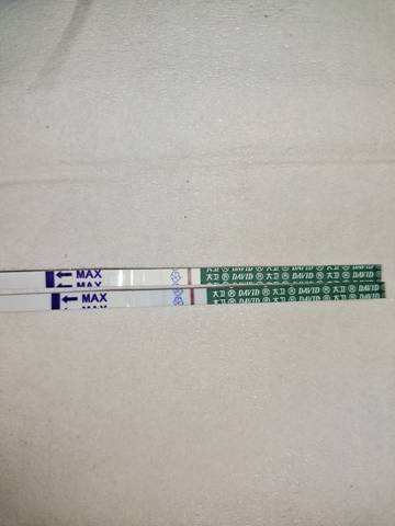 journal_insert_pic_1685692644