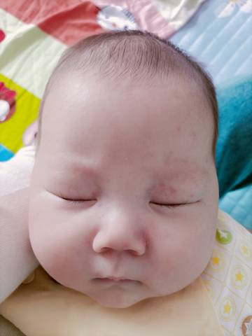 journal_insert_pic_1684565287