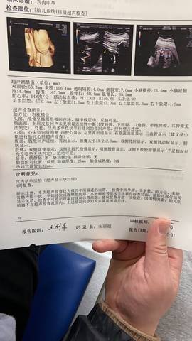 journal_insert_pic_1689630580