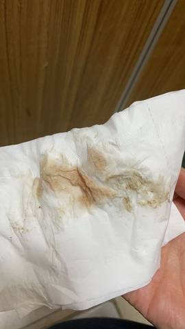 journal_insert_pic_1674896847