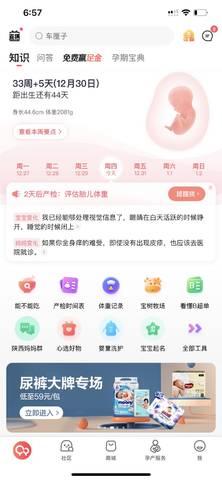 journal_insert_pic_1689073387