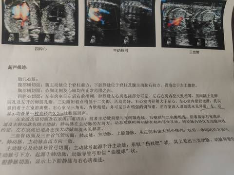 journal_insert_pic_1676142563