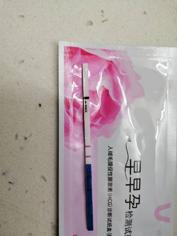 journal_insert_pic_1677205338