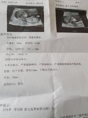journal_insert_pic_1685871325