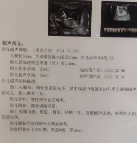 journal_insert_pic_1686519881
