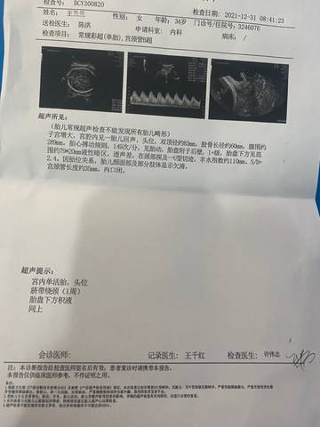 journal_insert_pic_1689718199