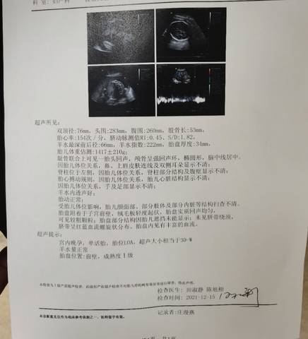 journal_insert_pic_1685124463