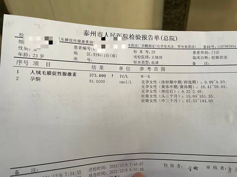 journal_insert_pic_1677041105