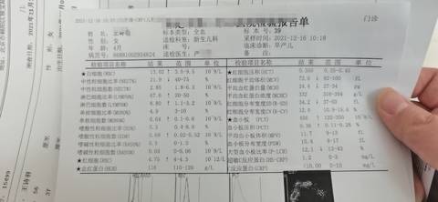 journal_insert_pic_1681021762