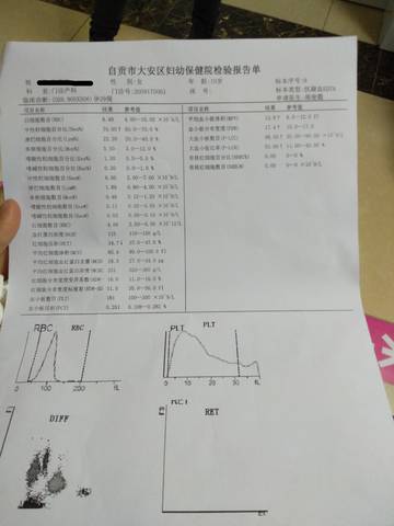journal_insert_pic_1675838749