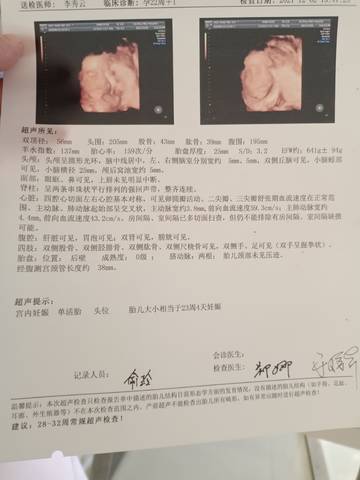 journal_insert_pic_1673504461