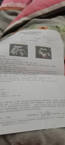 journal_insert_pic_1675711667