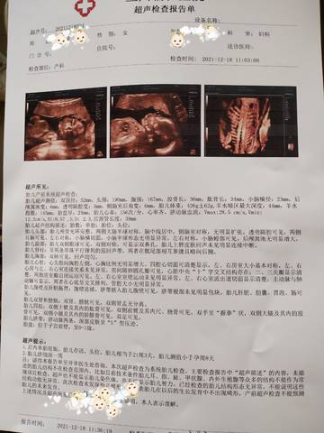 journal_insert_pic_1682048699
