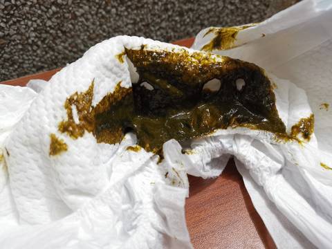 journal_insert_pic_1690154033