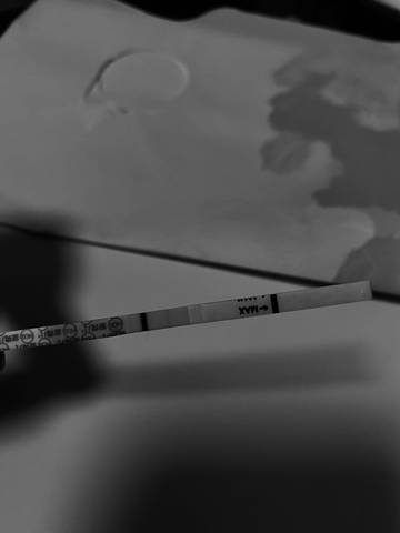 journal_insert_pic_1681727446