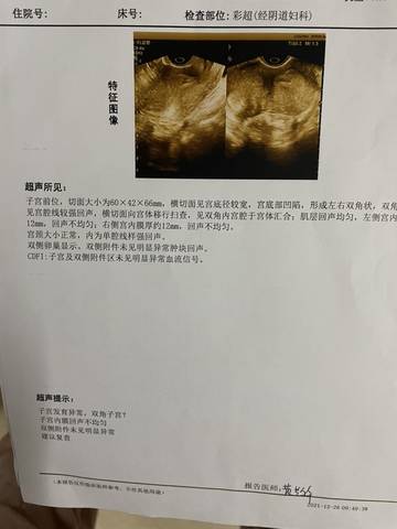 journal_insert_pic_1686667688