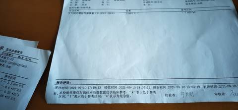 journal_insert_pic_1676039879